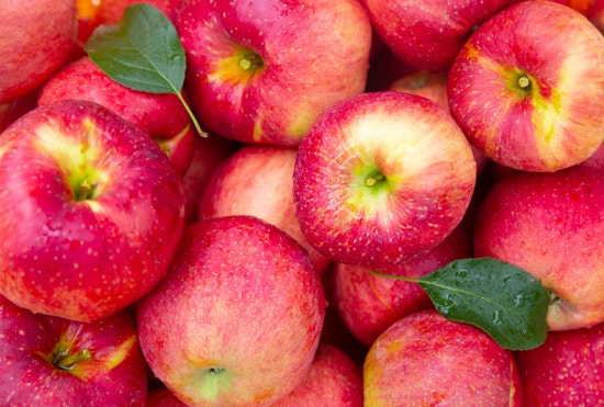 Mengenal Buah-buahan Rendah Gula! 사진 5