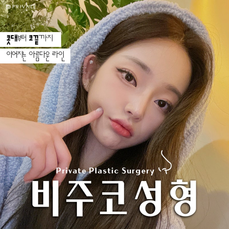 프라이빗성형외과 코성형 비주수술 알아보기 사진 2