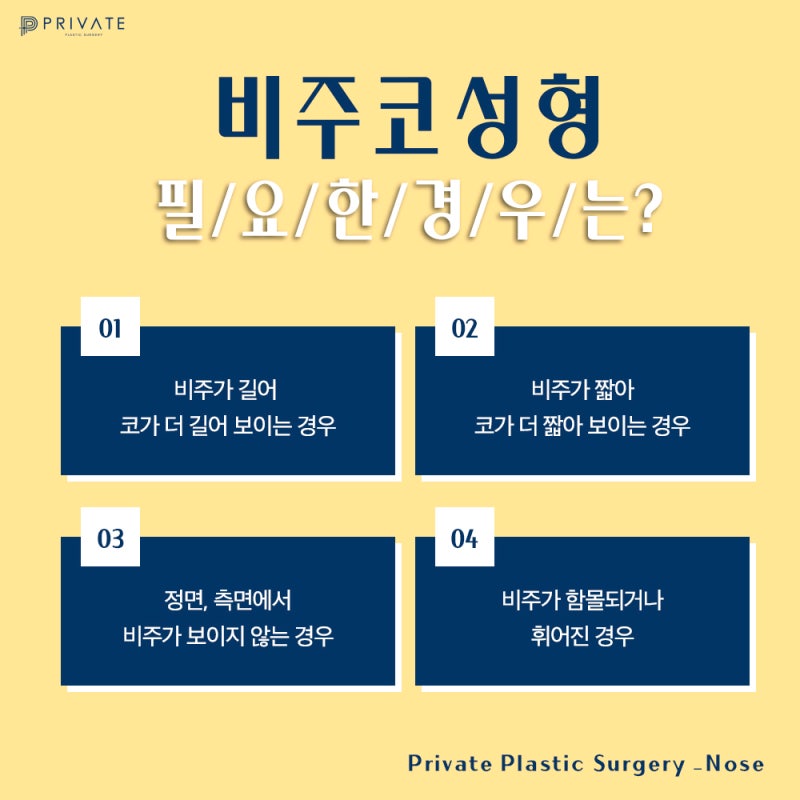 프라이빗성형외과 코성형 비주수술 알아보기 사진 5