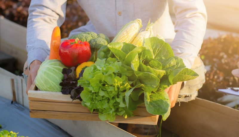 Cách ăn carbohydrate lành mạnh!