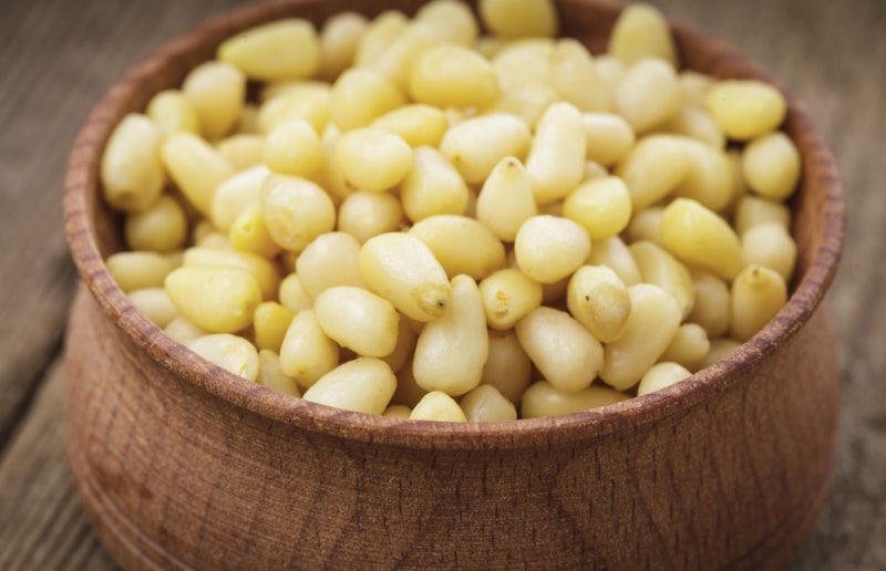 Manfaat Kacang Pinus Musim Gugur dan Musim Dingin 사진 3