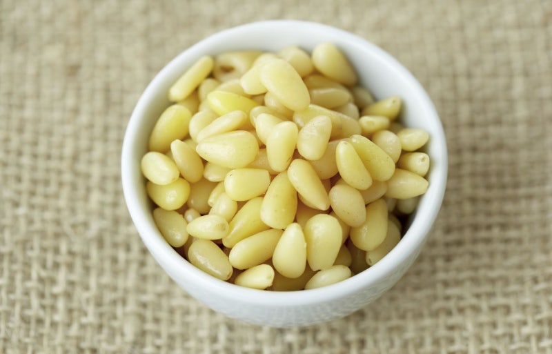 Manfaat Kacang Pinus Musim Gugur dan Musim Dingin