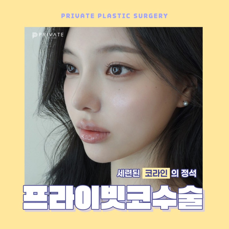 프라이빗 성형외과 코수술후기 좋은 병원 사진 2